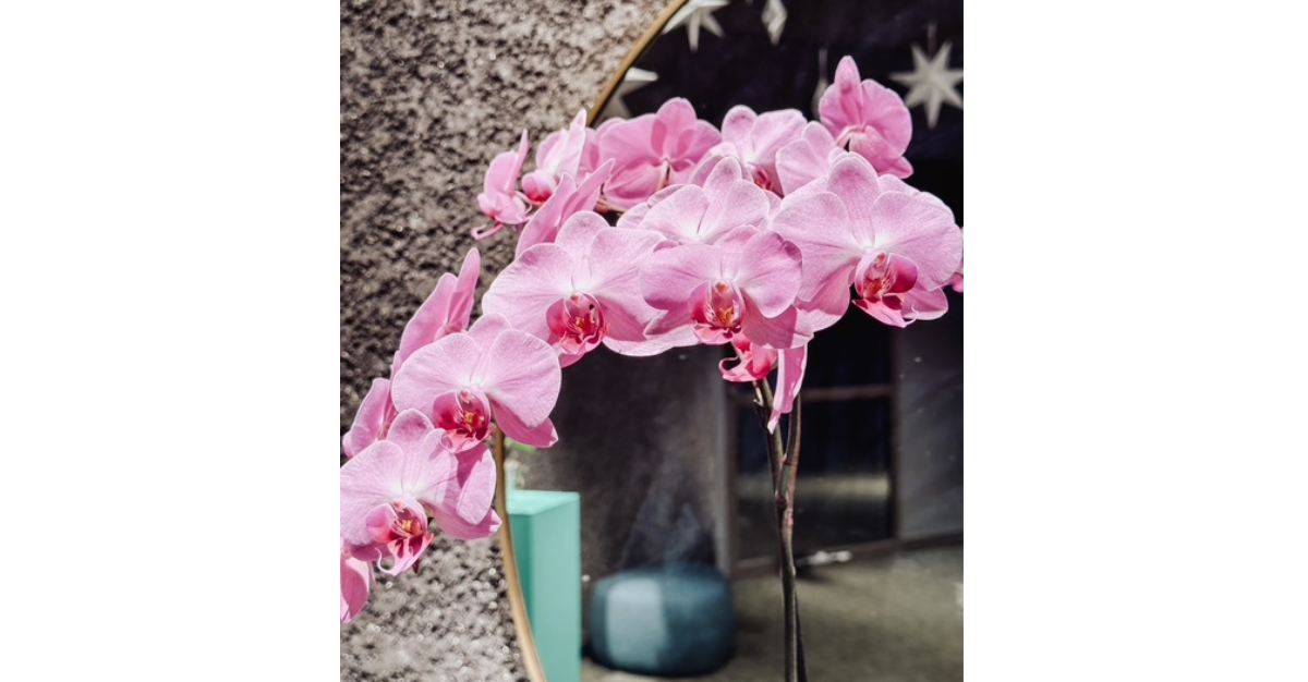 The Magic of Glimmers: How to Find Tiny Moments of Joy, Calm, and Healing in Midlife