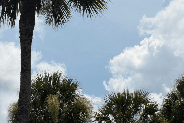 Traveling to Folly Beach and Charleston Itinerary