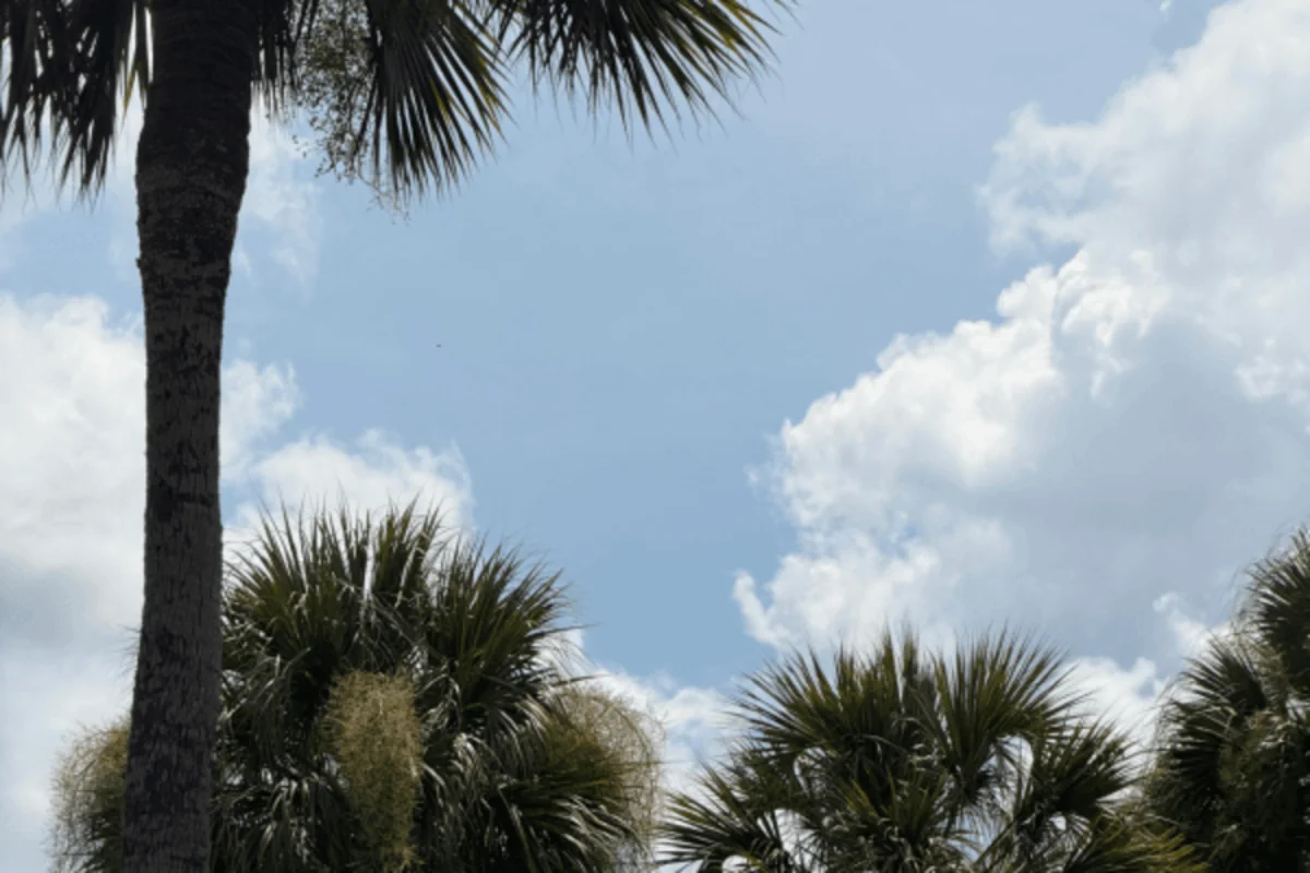 Traveling to Folly Beach and Charleston Itinerary